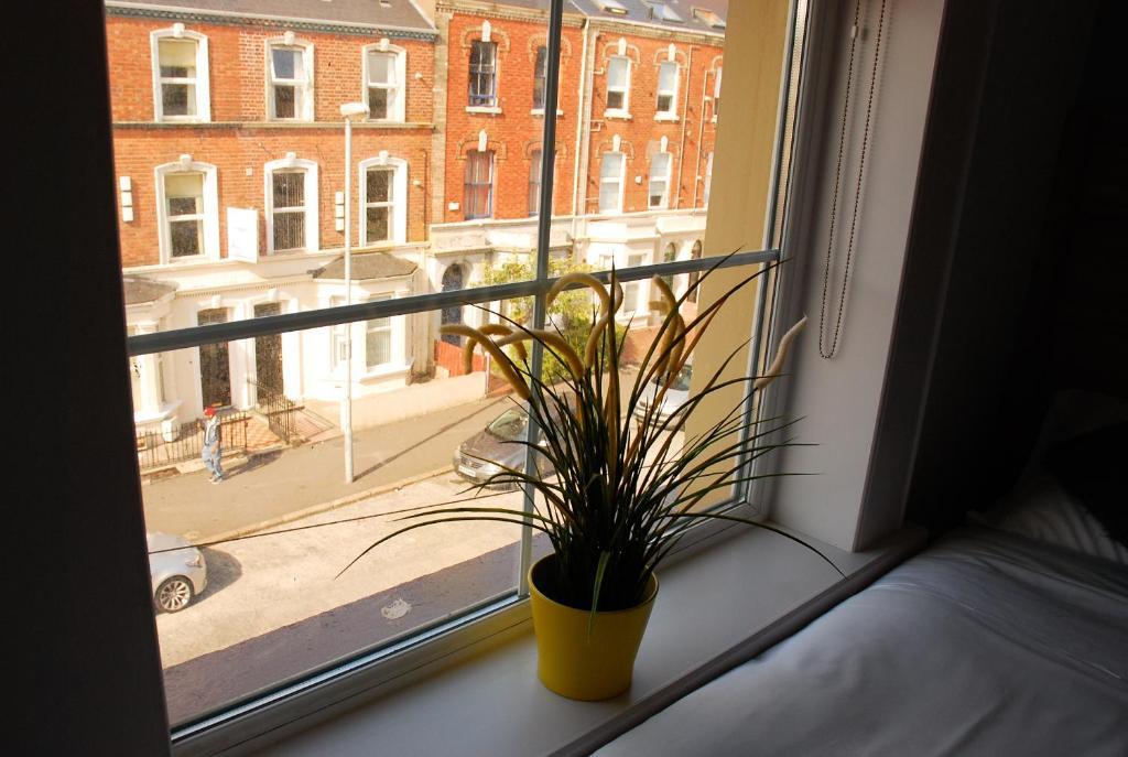 Botanic Rest Queens Quarter 3* Белфаст